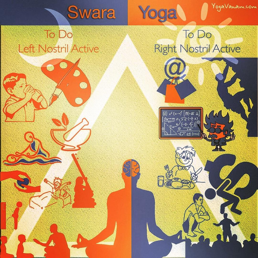 swara yoga YogaVanam